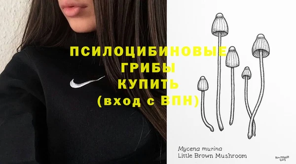 СК Абинск