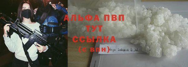 винт Абаза