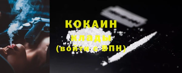 винт Абаза