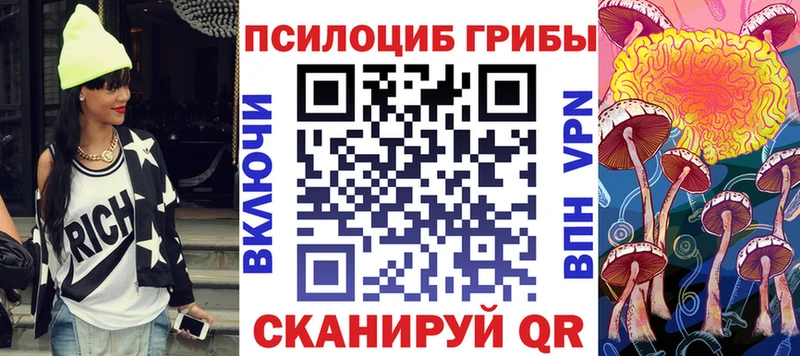 Псилоцибиновые грибы Psilocybe  где купить наркоту  Урус-Мартан 